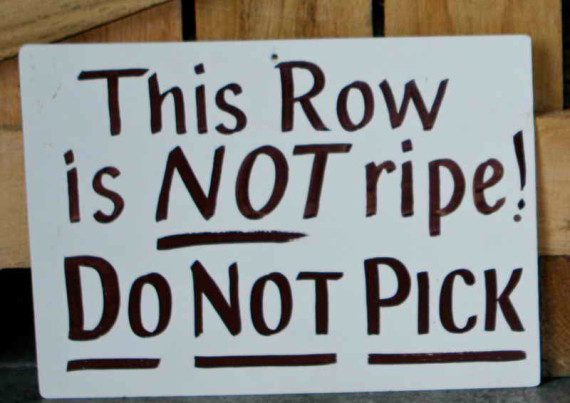 This row is not ripe. Do not pick here.