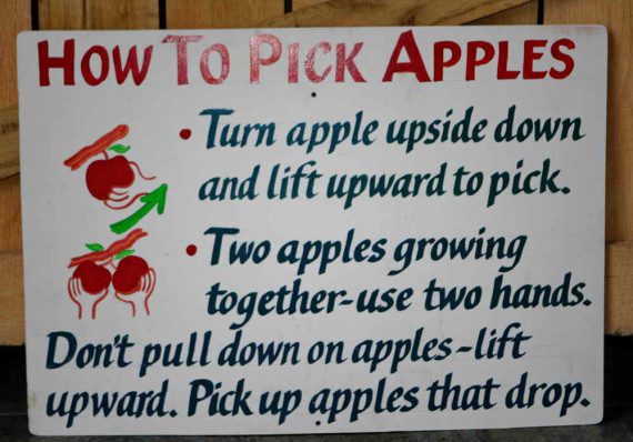 How to pick apples